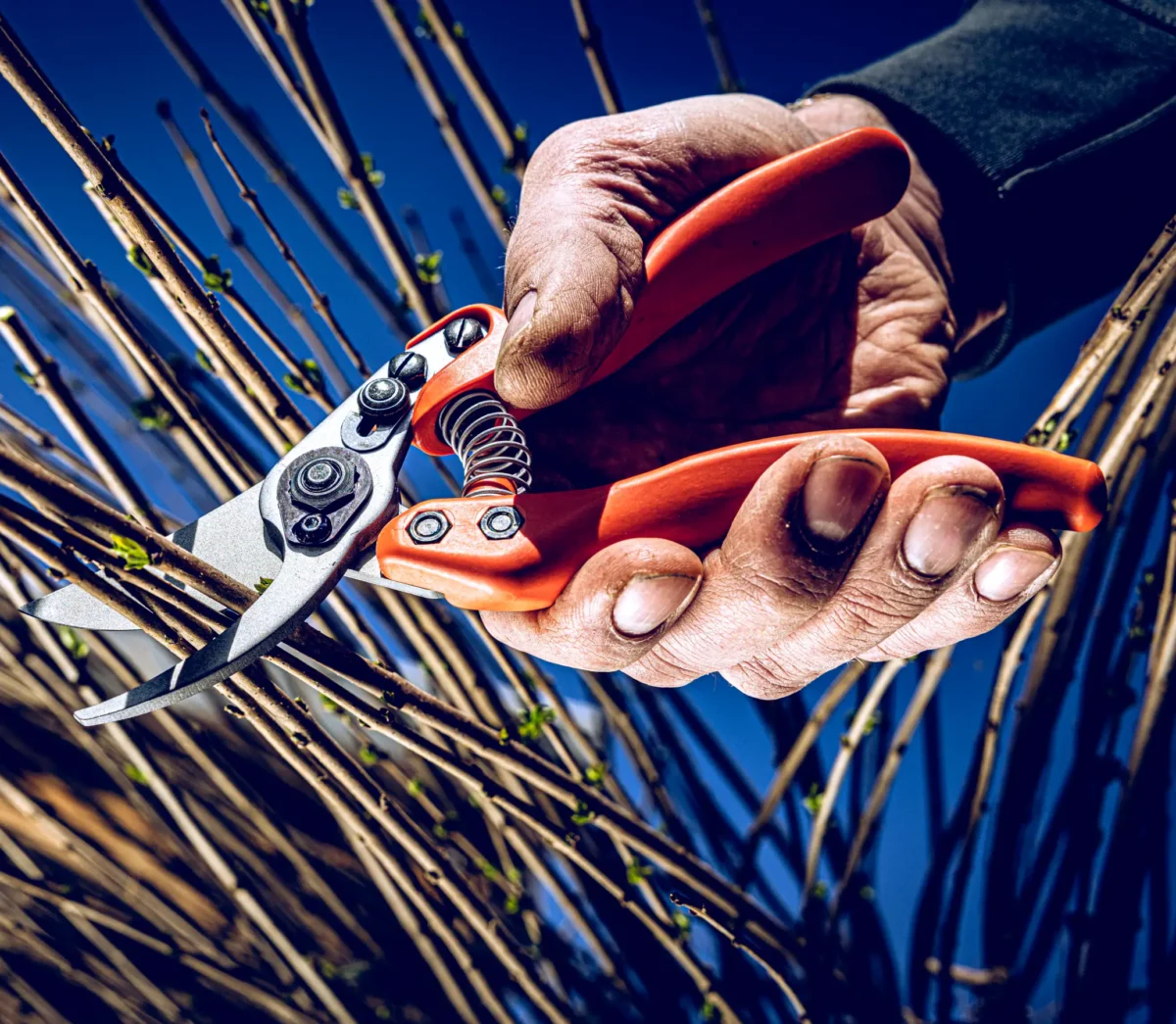 Löwe 11 Precision Clean Cut nőknek