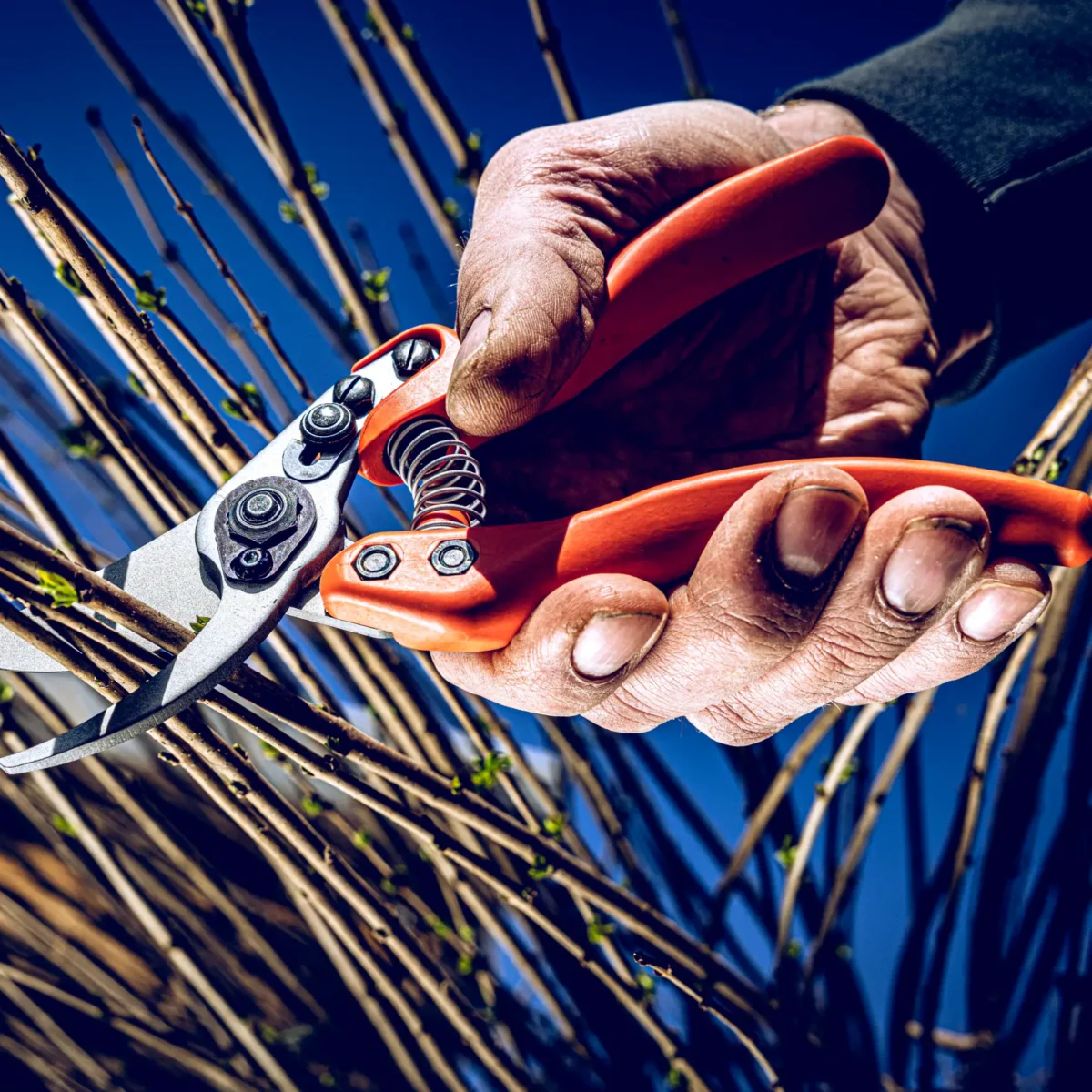 Löwe 11 Precision Clean Cut nőknek