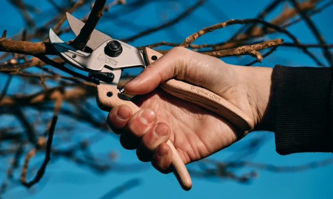 Löwe Natural Gartenschere Holzgriff