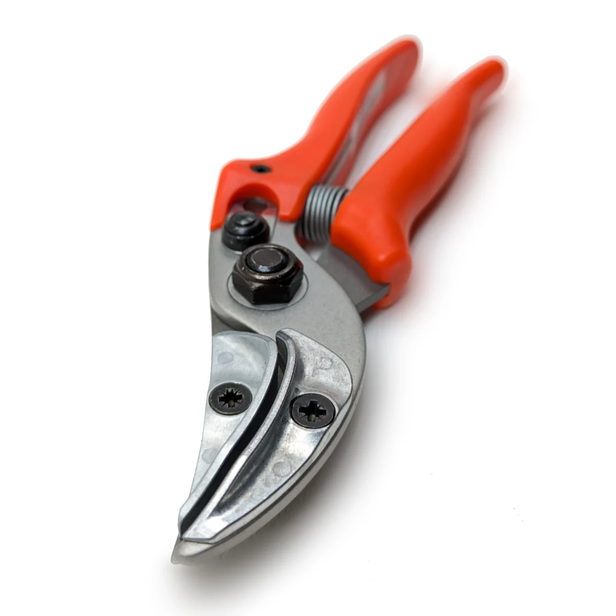 Eredeti Löwe rózsa bemutató olló